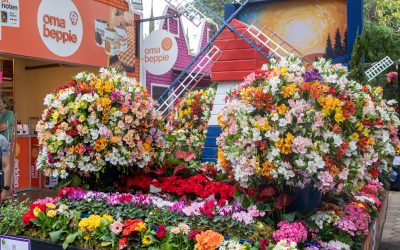 Expoflora 2026 resgata tradição e origens em uma homenagem à sua história