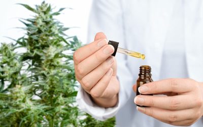 Cannabis Medicinal: ALLICAN acompanha o uso terapêutico e orienta indicações