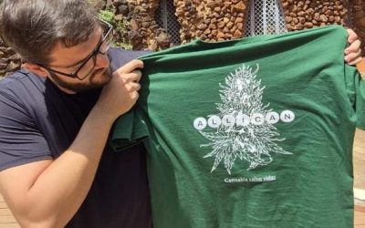 Cannabis medicinal: tratamentos seguem evoluindo