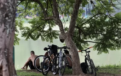 Temperaturas em São Paulo voltam a subir