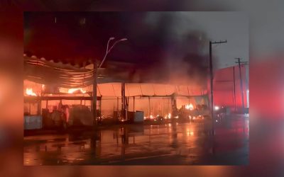 Incêndio atinge pavilhão de frutas no Ceagesp; não há vítimas